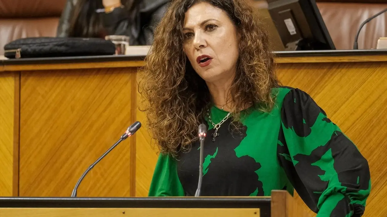La parlamentaria de Vox, Ana Mar&iacute;a Ruiz - ALFREDO DE ANCA / PARLAMENTO DE ANDALUC&Iacute;A