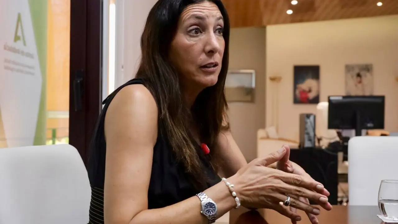 La consejera de Inclusi&oacute;n Social, Loles L&oacute;pez. Europa Press.
