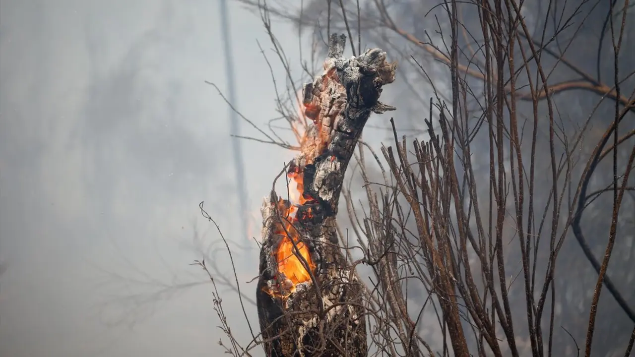 Incendio forestal en Quiroga (Lugo). | EP
