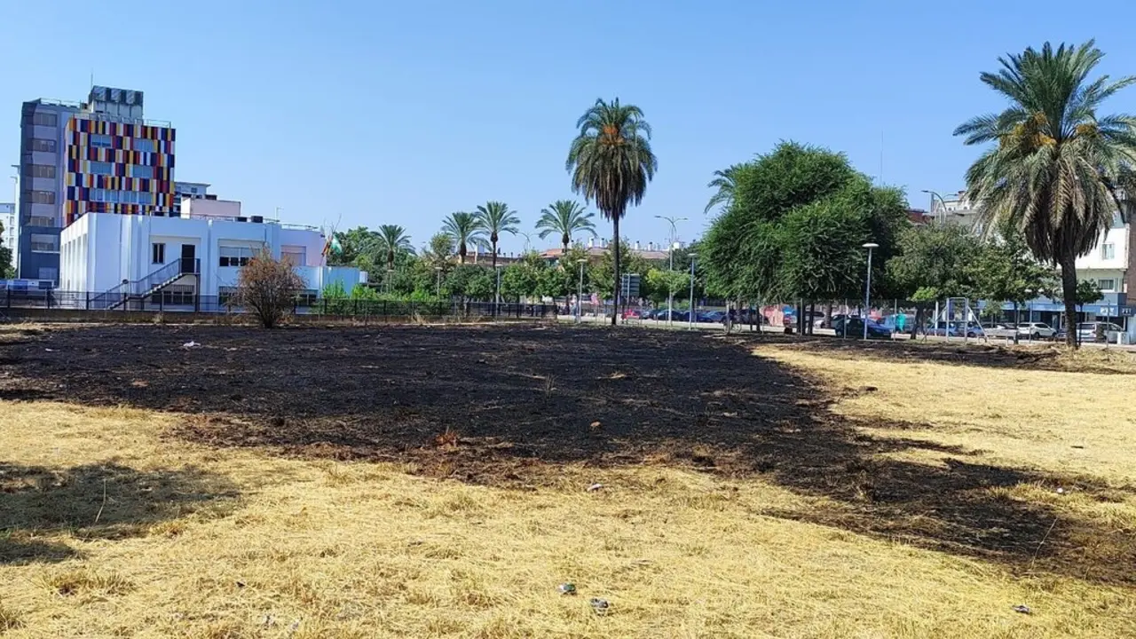 Solar con cesped seco y calcinado. | Europa Press.