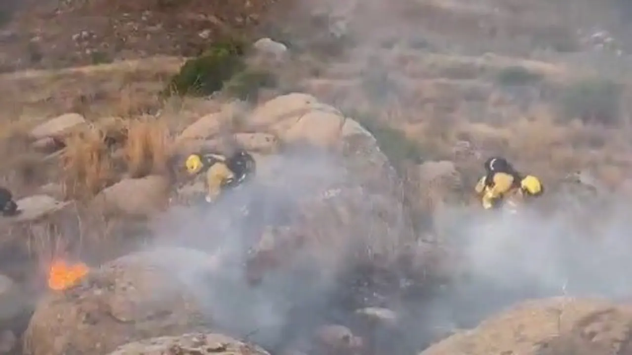 Incendio | INFOCA