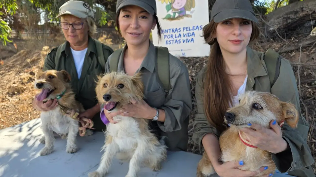 Voluntarias con sus perros durante una jornada de rastreo. | Mujeres por Do&ntilde;ana.