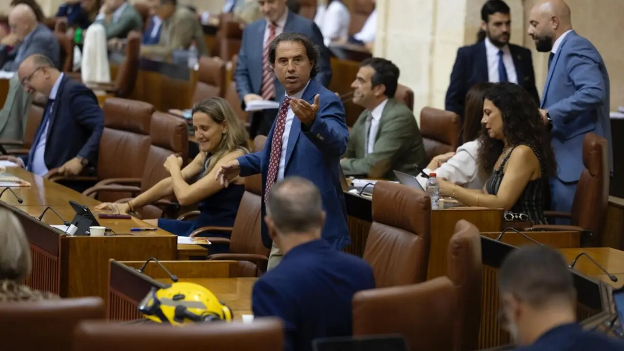Benito Morillo, en el Parlamento. -Foto: Vox.