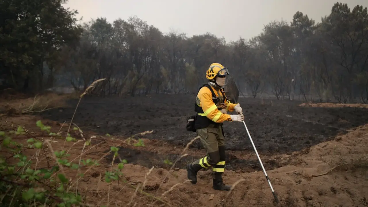 Un bombero forestal. | Europa Press.