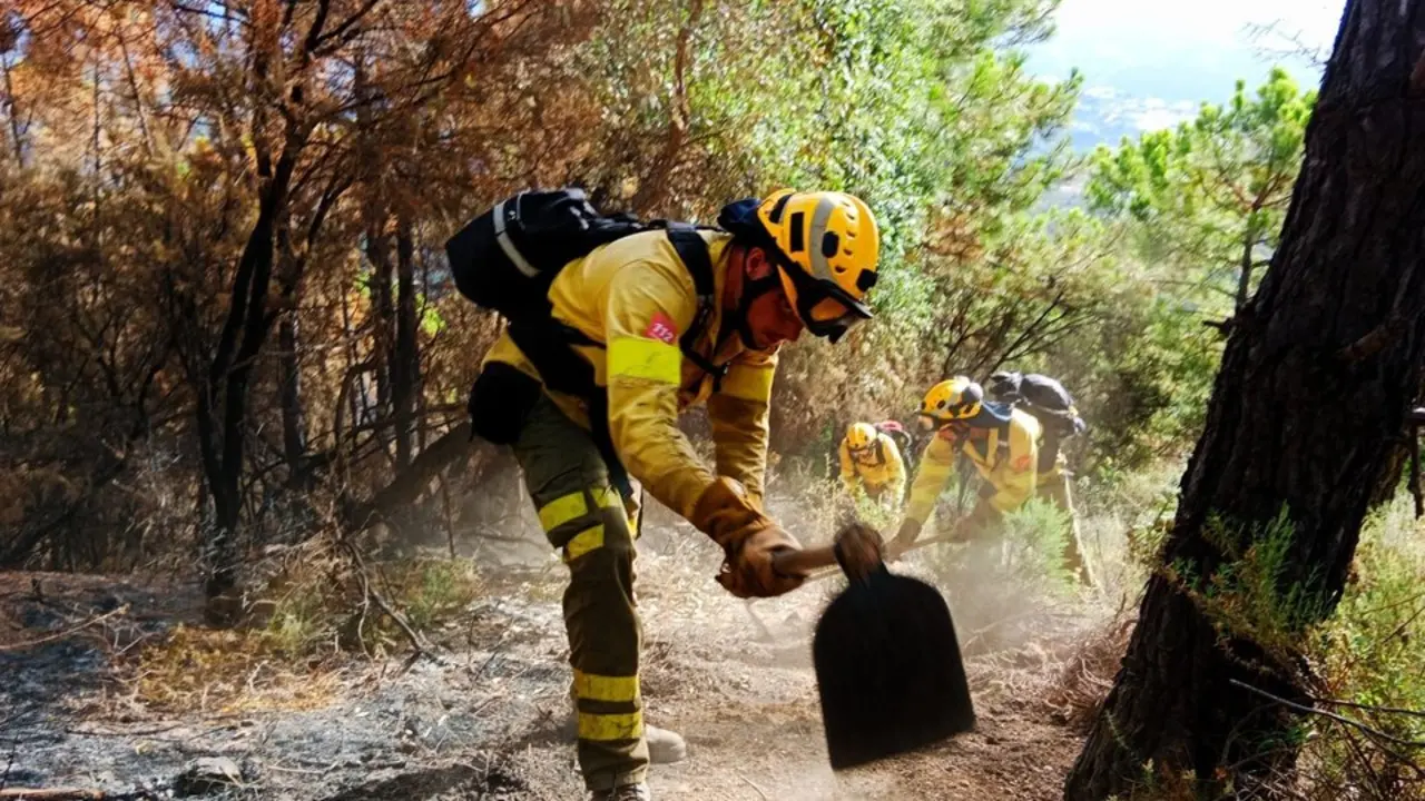 Bomberos forestales | INFOCA