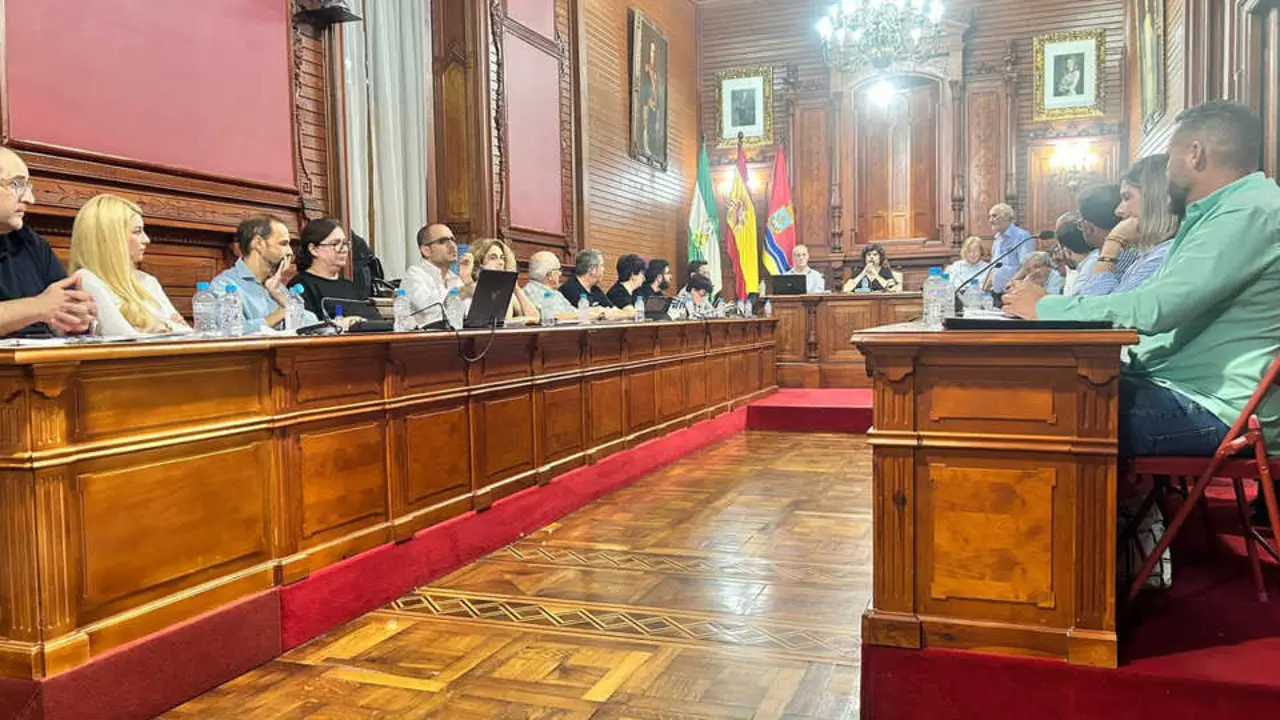 Un momento del Pleno celebrado