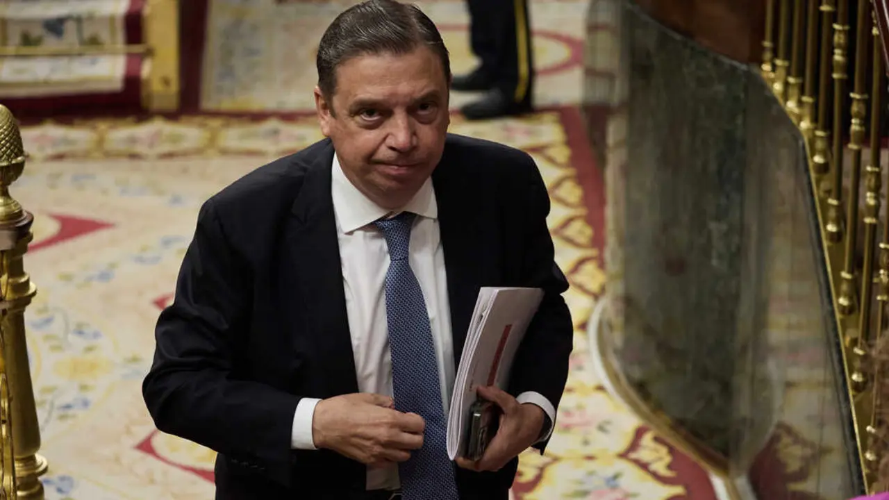  El ministro de Agricultura, Pesca y Alimentaci&oacute;n, Luis Planas. | Europa Press. 