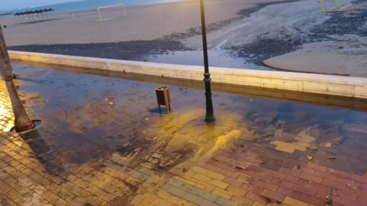 Imagen del pasado viernes en el paseo mar&iacute;timo de La Costilla | Verdes EQUO