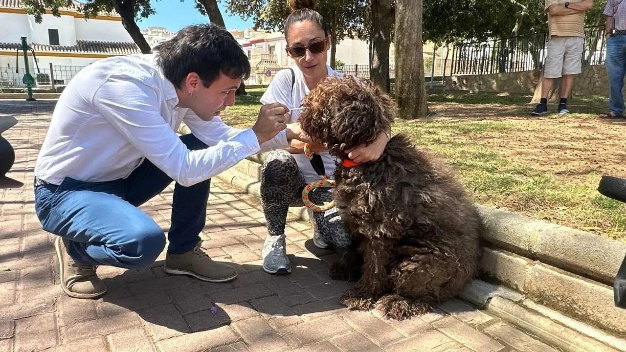 Toma de muestra a un perro. | Europa Press.