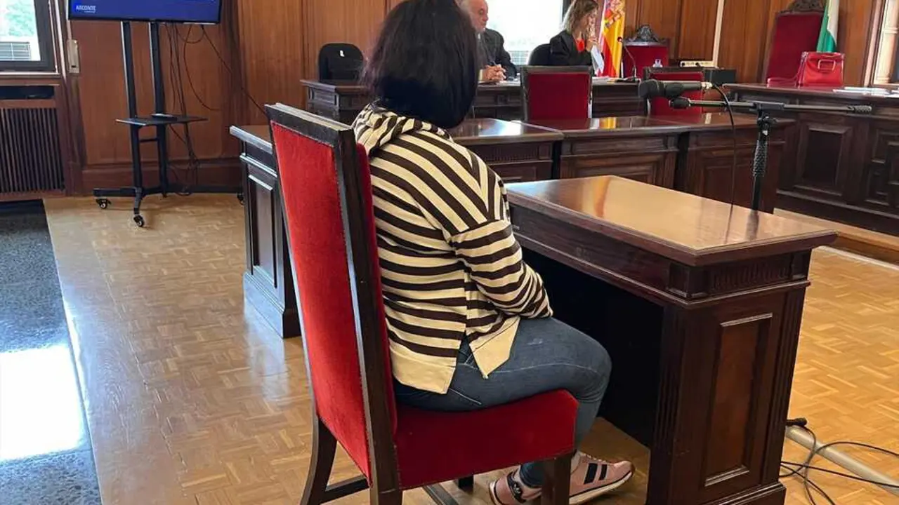 La madre biol&oacute;gica del beb&eacute; abandonado en un contenedor en Los Palacios (Sevilla), en la Audiencia Provincial de Sevilla | E.P.