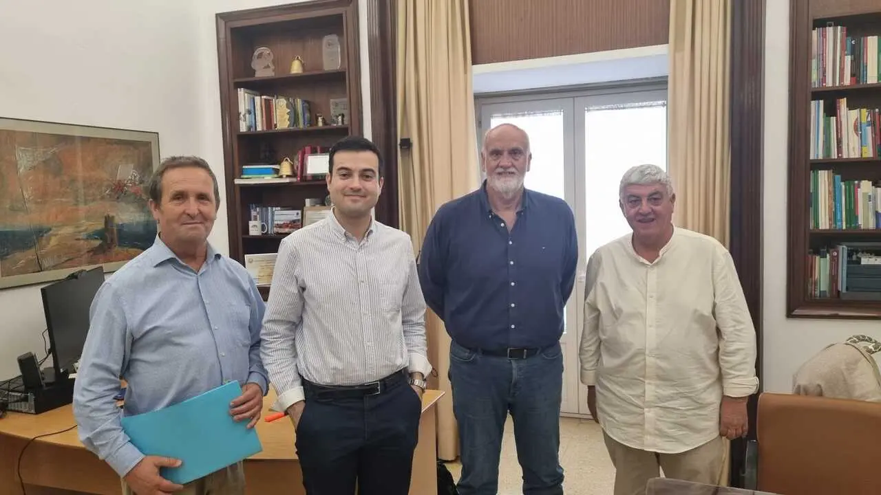 APYTERMI reclama a la Diputaci&oacute;n de C&aacute;diz impulsar el tranv&iacute;a de la Costa Noroeste