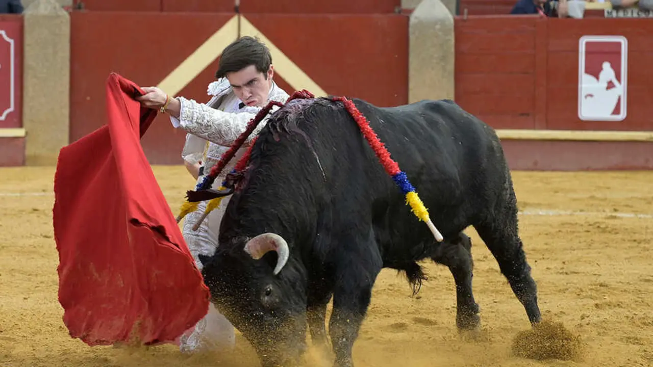 El vencedor de la novillada, en uno de los lances. /Jes&uacute;s Salido.