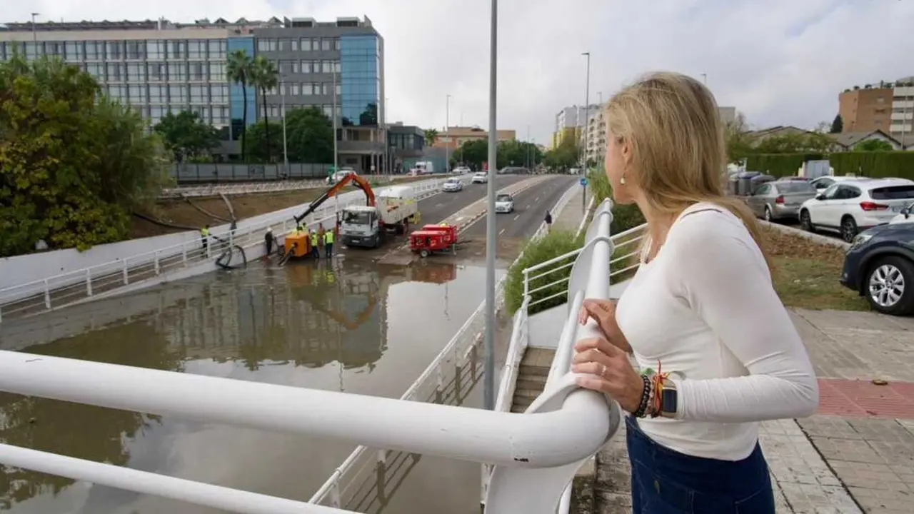 La portavoz municipal de Vox, observa los efectos del temporal en la ciudad |&nbsp;VOX SEVILLA