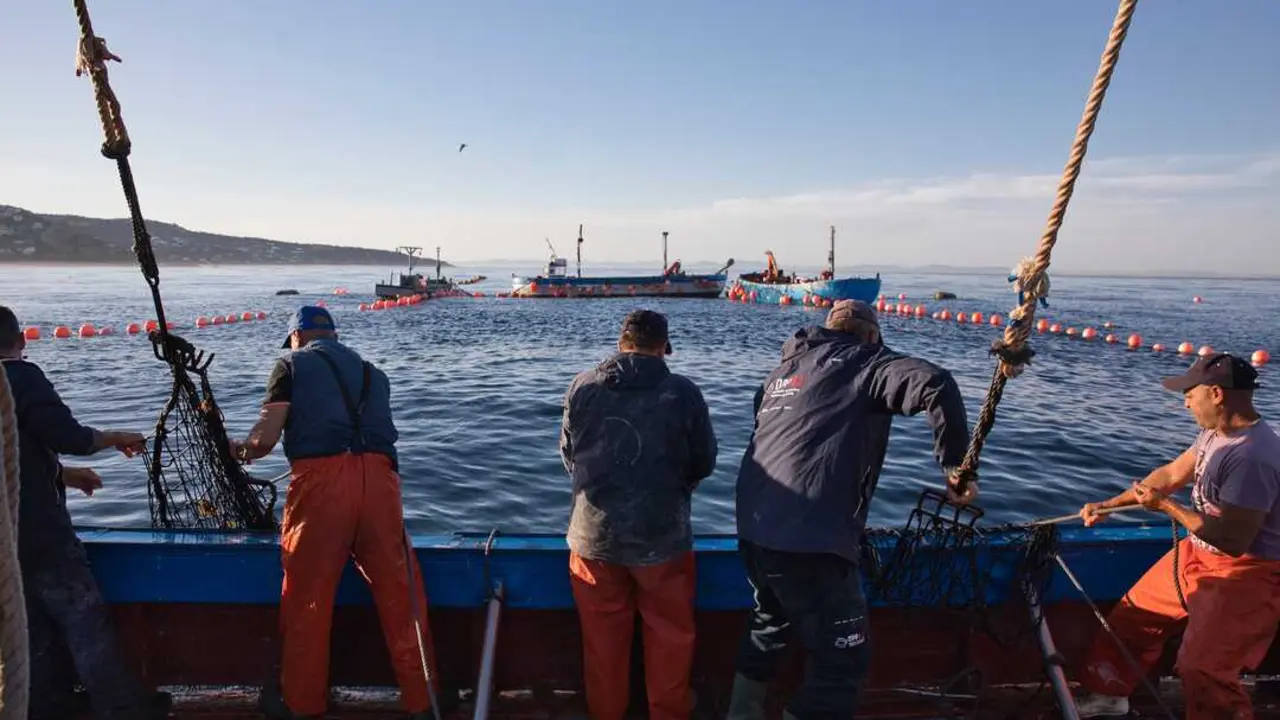 Varios pescadores. | Europa Press.