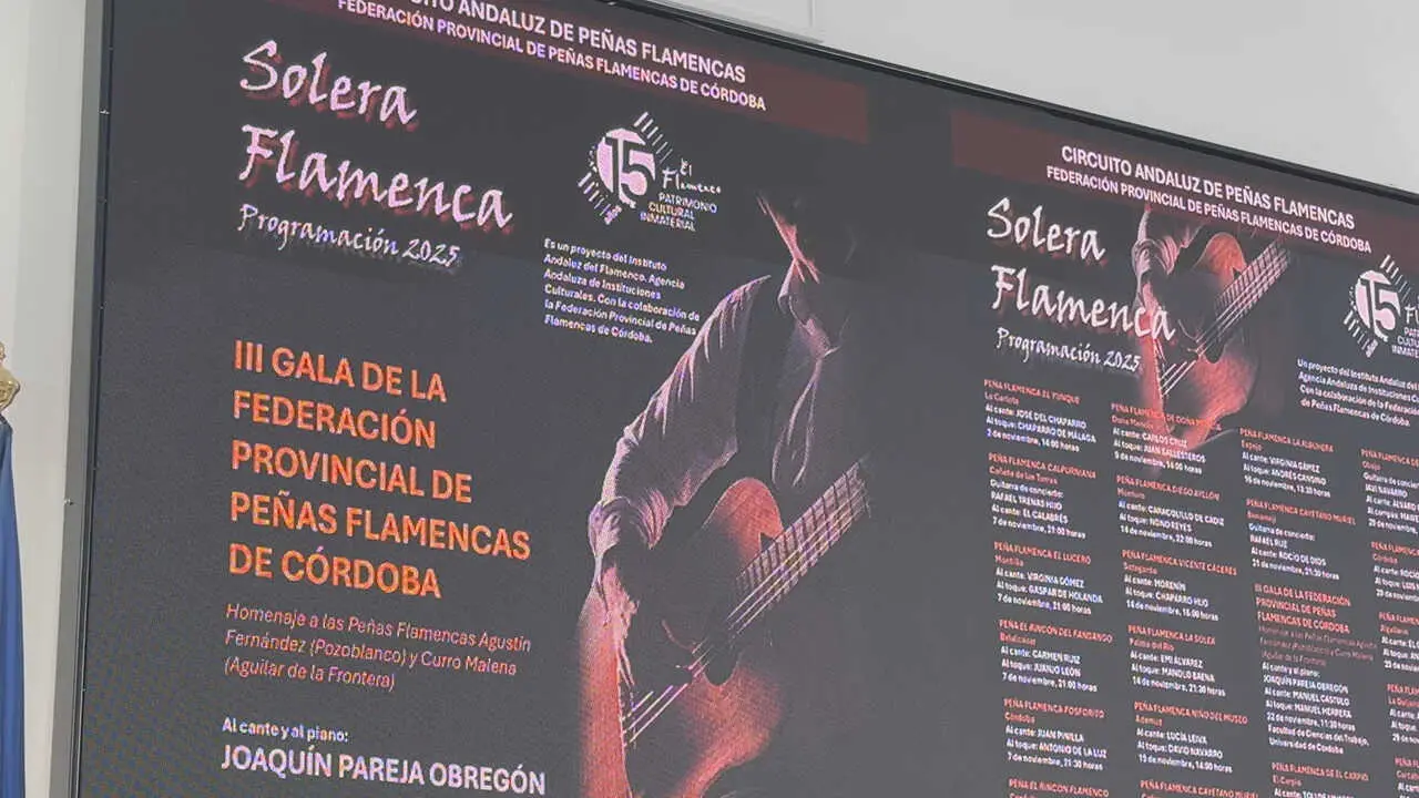 Programaci&oacute;n para conmemorar el XV aniversario de la declaraci&oacute;n del Flamenco como Patrimonio Cultural Inmaterial de la Humanidad