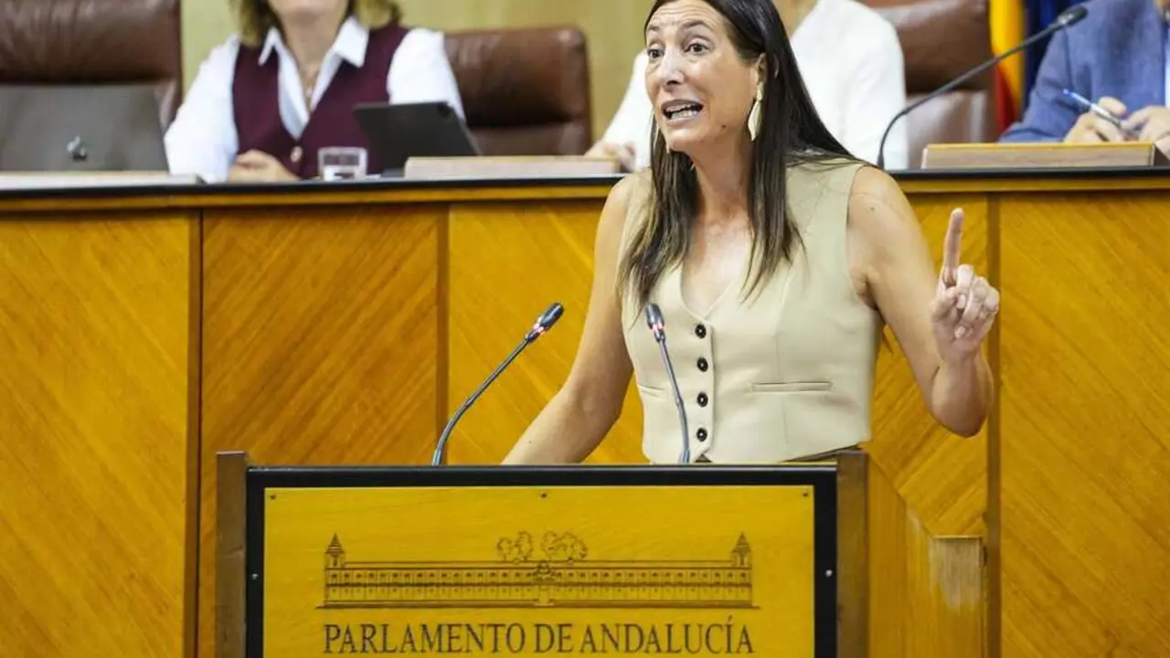 Imagen de archivo de la consejera de Inclusi&oacute;n Social, Juventud, Familias e Igualdad, Loles L&oacute;pez.
- JOAQU&Iacute;N CORCHERO/PARLAMENTO DE ANDALUC&Iacute;A