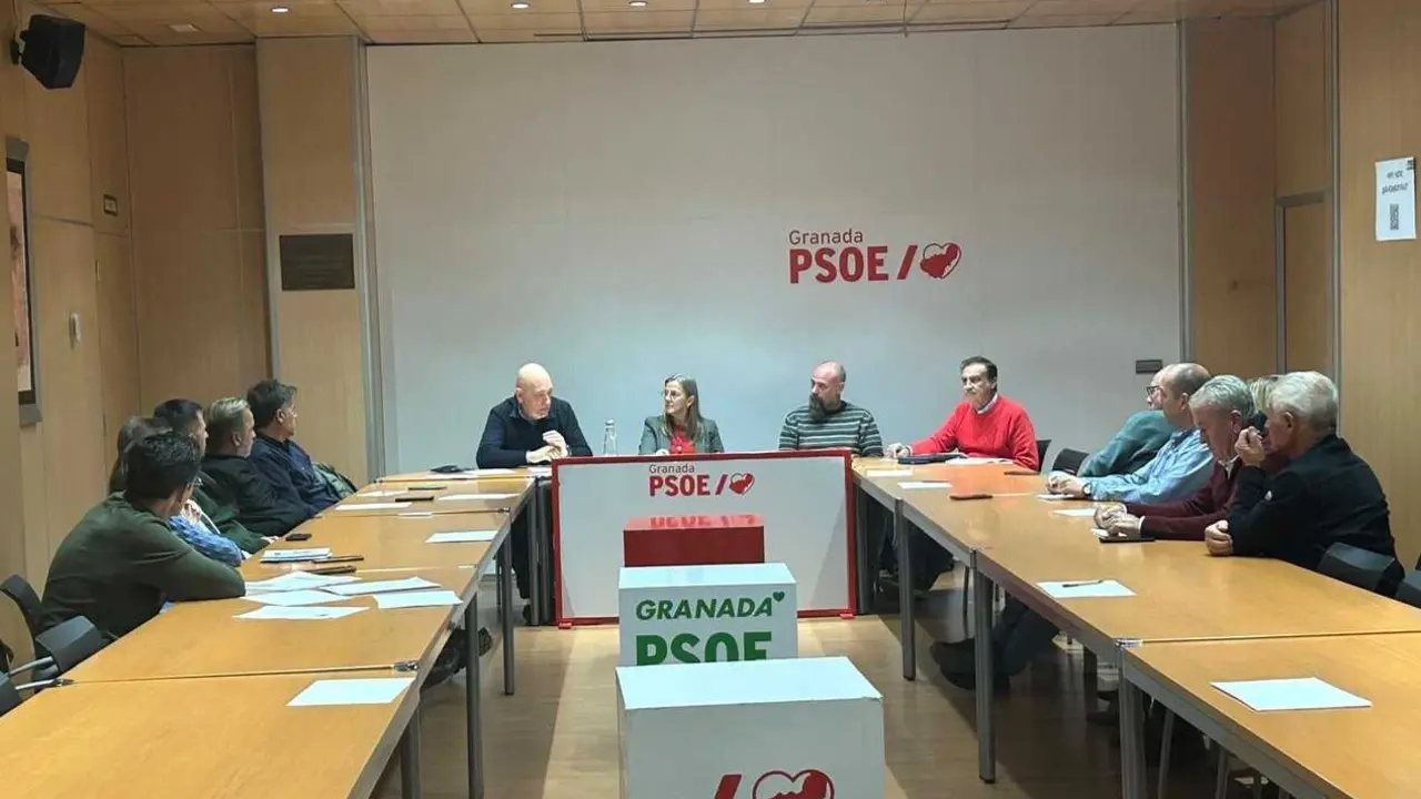 Encuentro de medio ambiente del PSOE de Granada con el parlamentario andaluz del PSOE Gerardo S&aacute;nchez, la responsable de Medio Ambiente del PSOE de Granada, Bel&eacute;n Pezzi, y el responsable de Medio Ambiente del PSOE andaluz, Ignacio Henares | Eva Ercolanese/PSOE / Europa Press