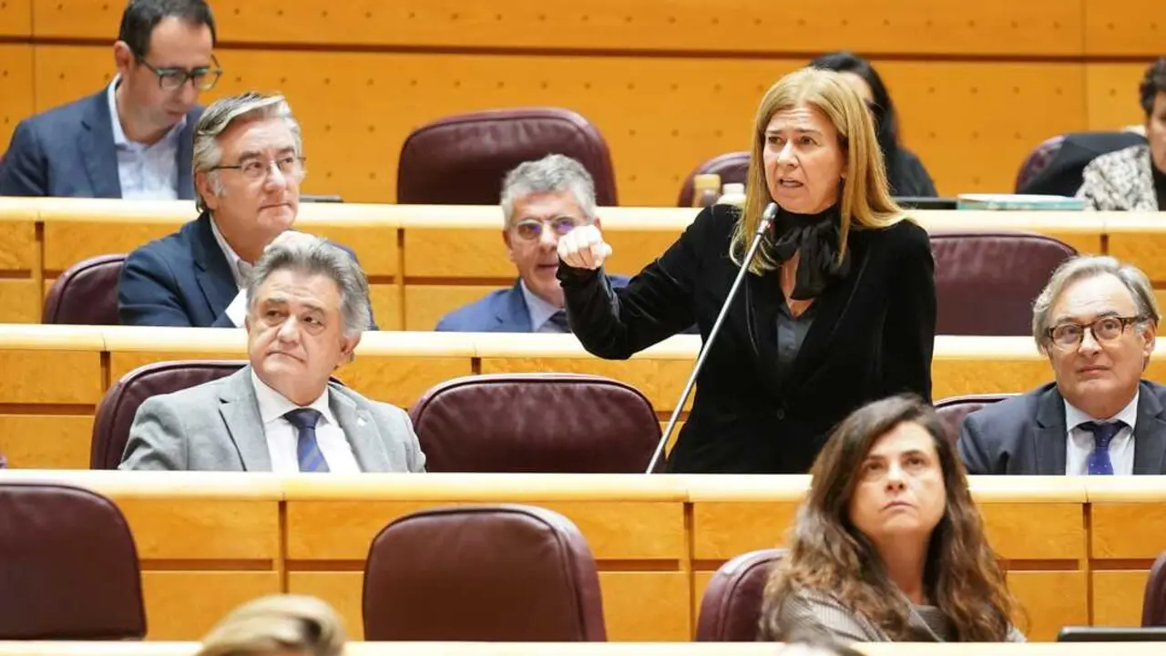 La senadora del PP Teresa Ruiz-Sillero en el pleno del Senado. EP