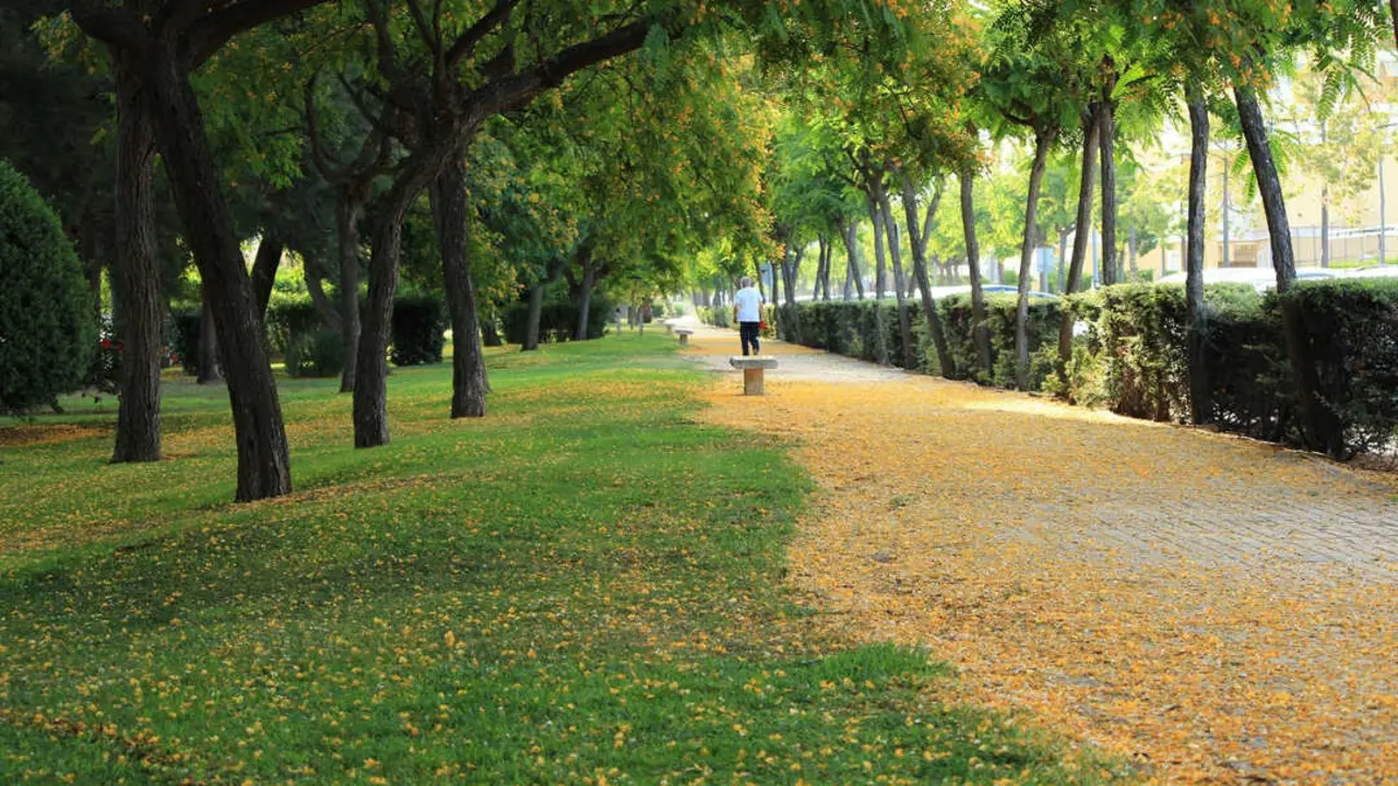 Zonas verdes en Islantilla. | Mancomunidad Islantilla.