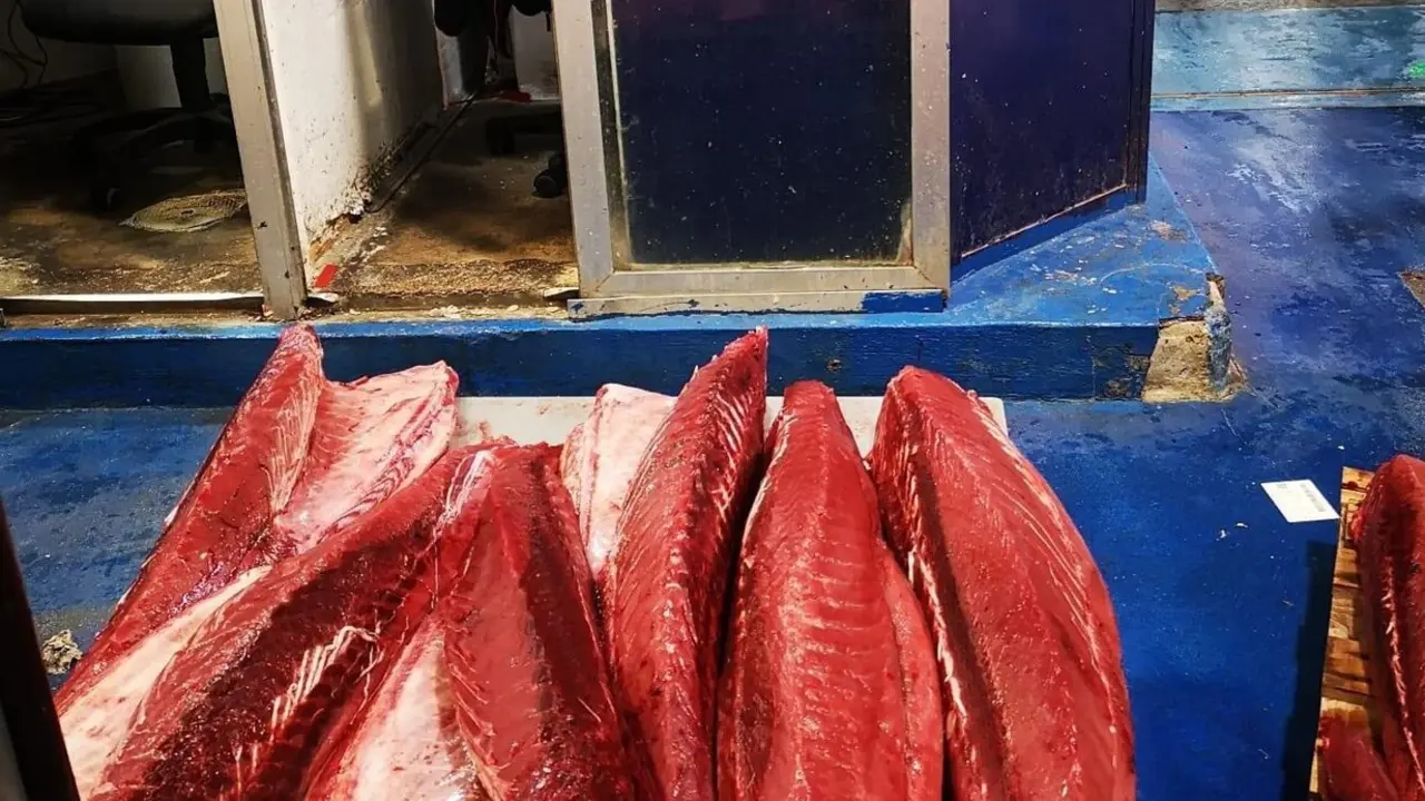 EuropaPress_7132118_incautados_mas_tonelada_productos_pesqueros_mercasevilla