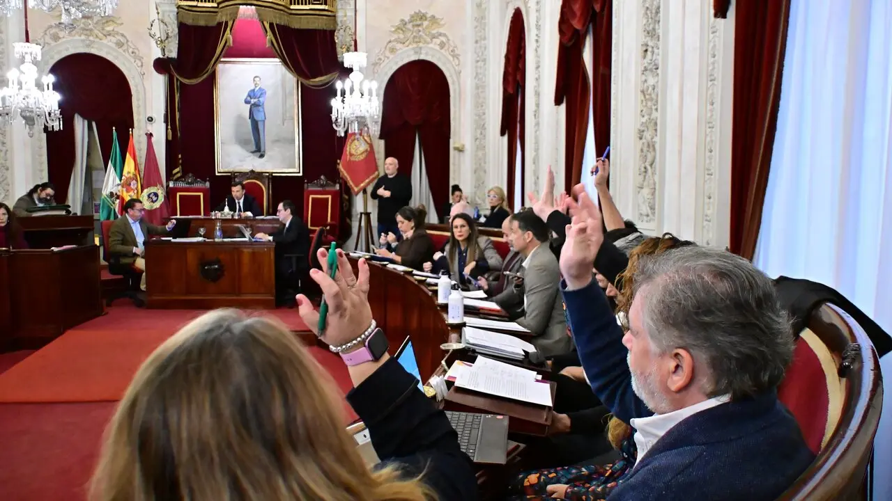 Concejales de AIG votan favorablemente a una moci&oacute;n en un Pleno. / Eulogio Garc&iacute;a