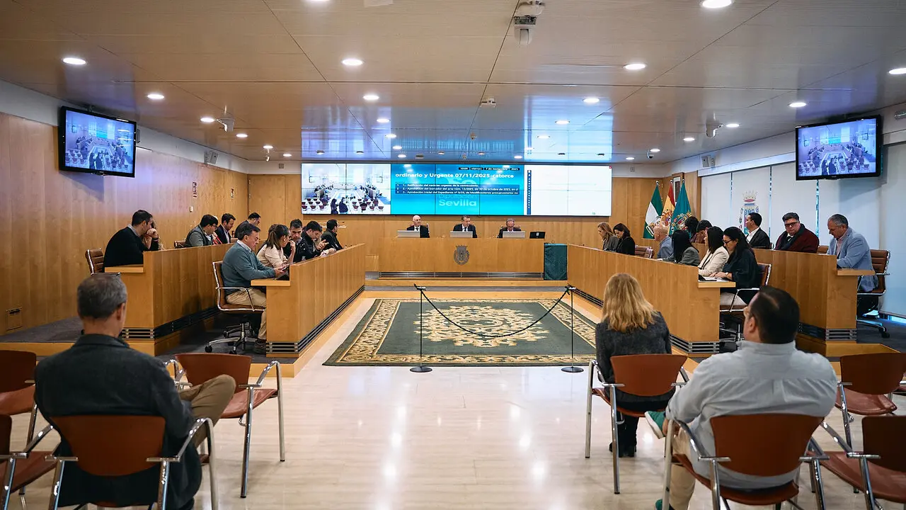 Pleno de la Diputaci&oacute;n de Sevilla. | DIPU