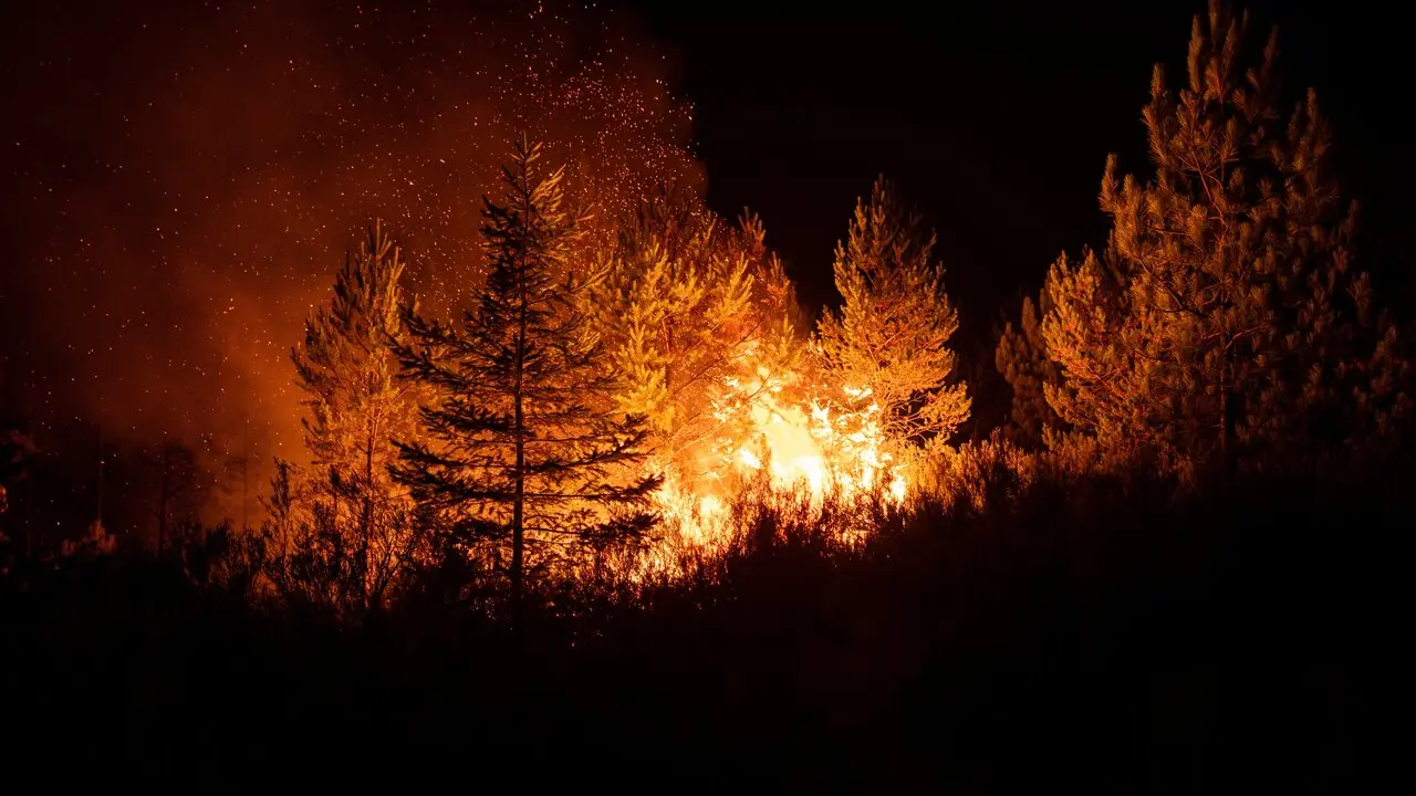 Vista del fuego, a 22 de agosto de 2025, en Argayo, Le&oacute;n. | EP