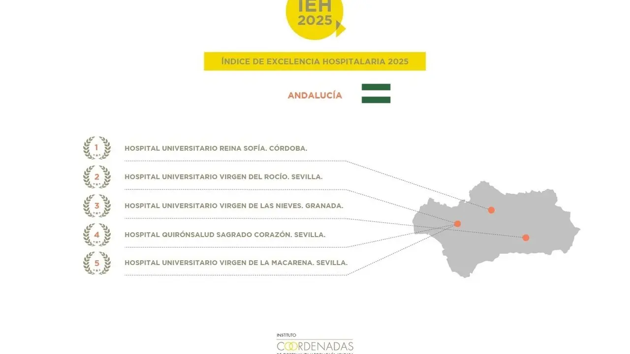 Infograf&iacute;a del &Iacute;ndice de Excelencia Hospitalaria.