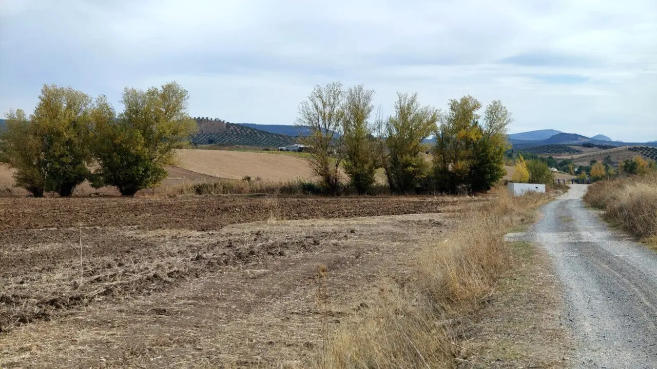 Proximidades del paraje de La Aduana, donde se ha proyectado una planta de biometano.