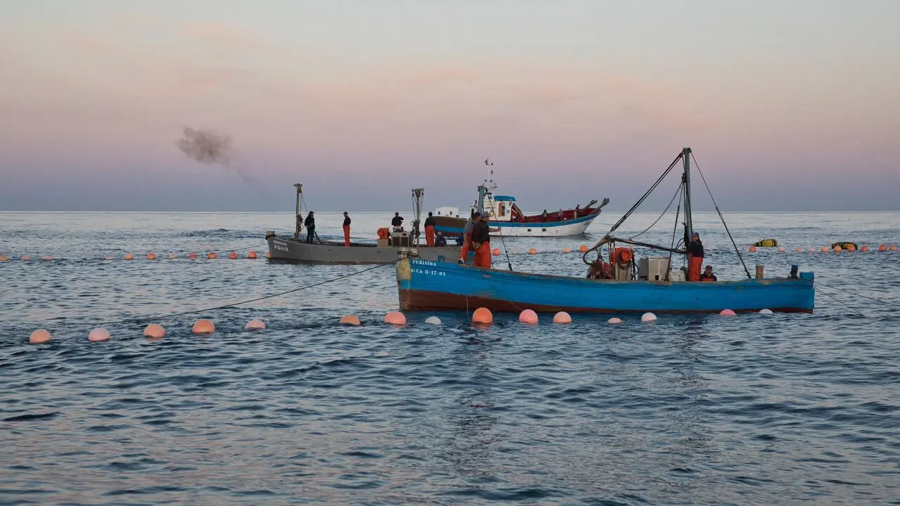 Barcos. | Europa Press.