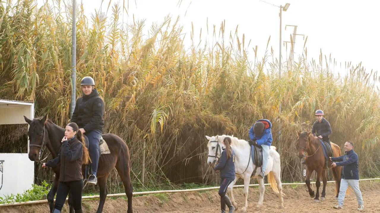 Equinoterapia en Mairena.| AYTO MAIRENA