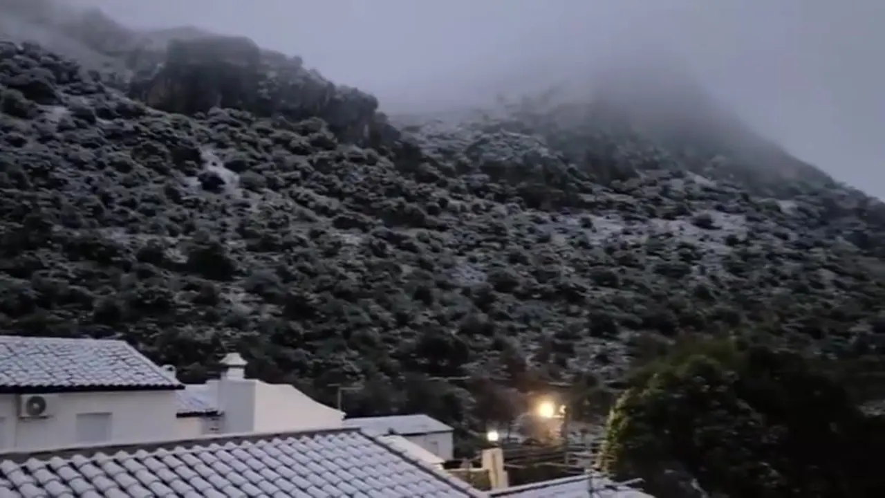 VIDEO-2026-01-24-09-29-53