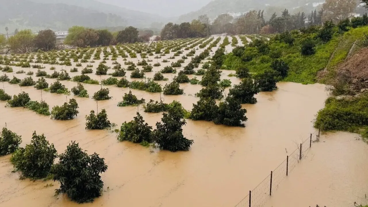 Desbordamiento del r&iacute;o Hozgarganta, en Jimena. | VIVA