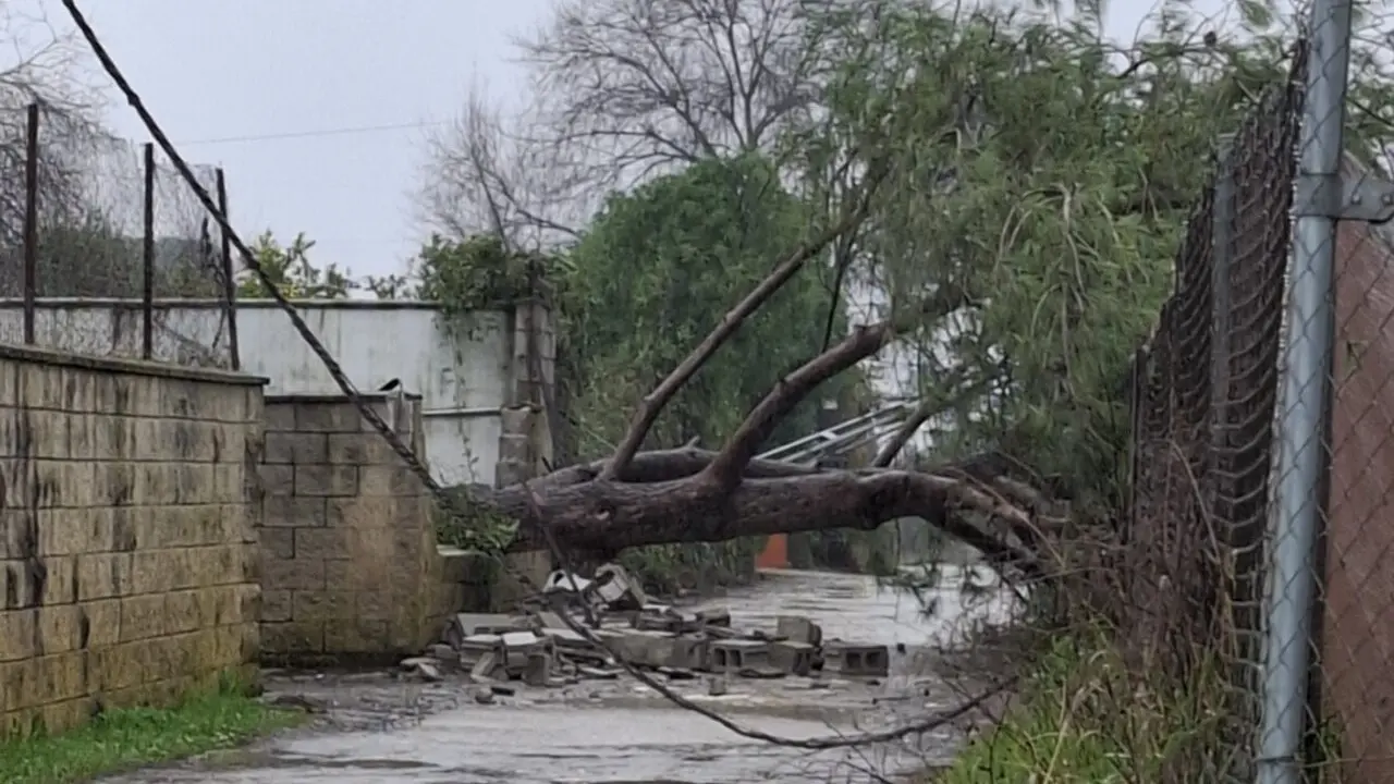 Incidencias en Utrera 27 enero 2026. | UTI