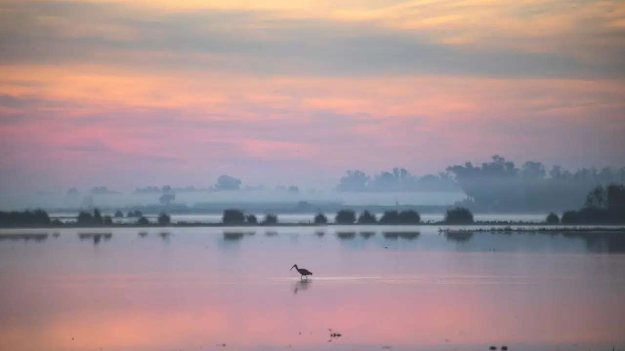 Humedales de Do&ntilde;ana. | Huelva Riega.