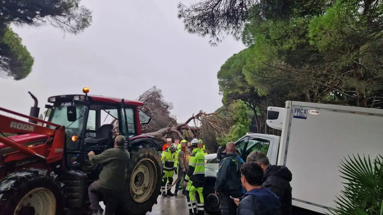 Servicios municipales trabajan ante las incidencias del temporal.