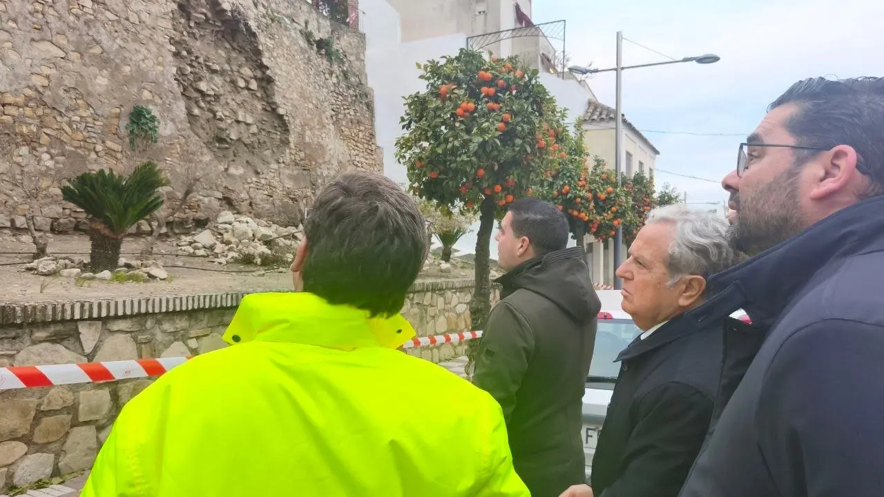 Fuentes (2&ordm; dcha) y Santos (dcha.) observan el desprendimiento en el muro de contenci&oacute;n de la calle Cervantes de Espejo.