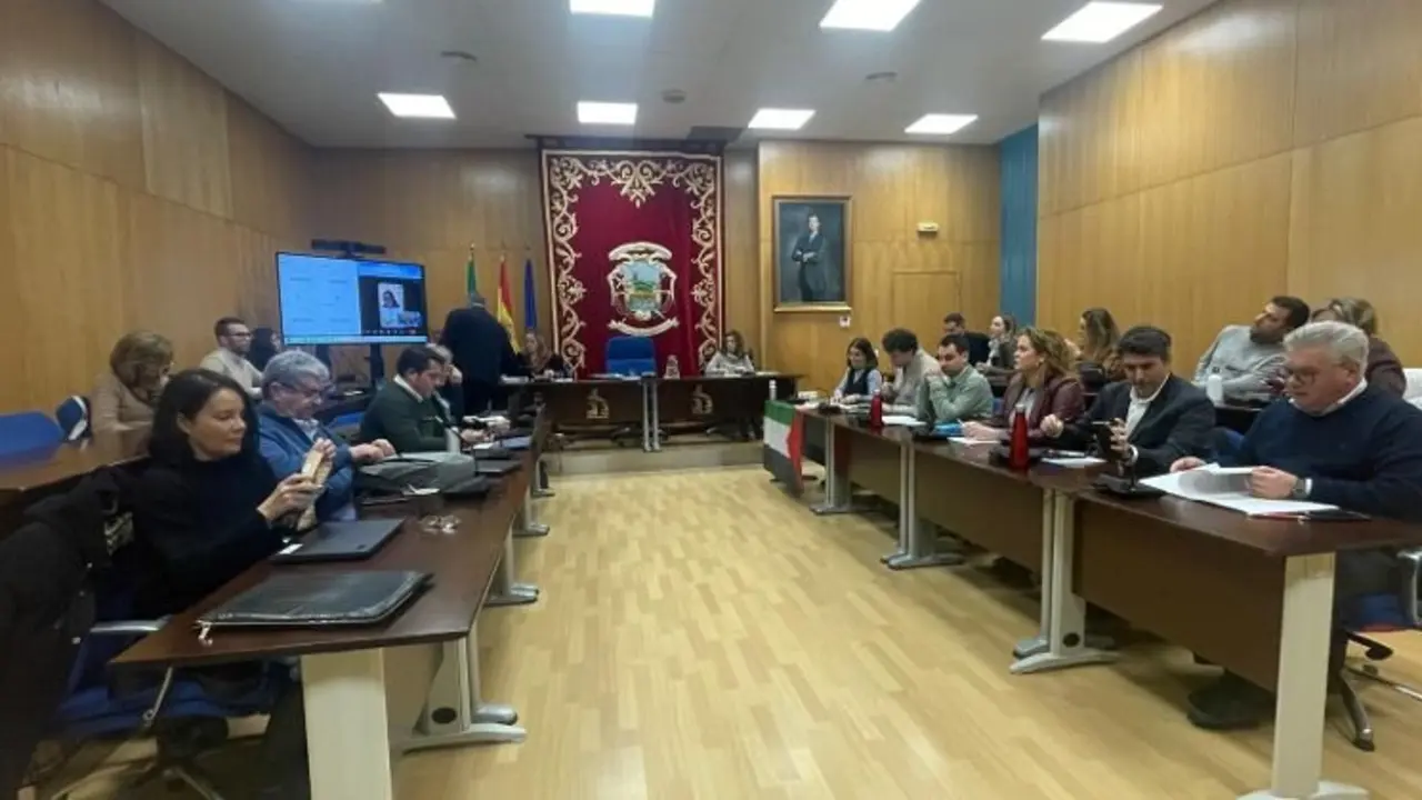Los concejales durante una sesi&oacute;n plenaria.