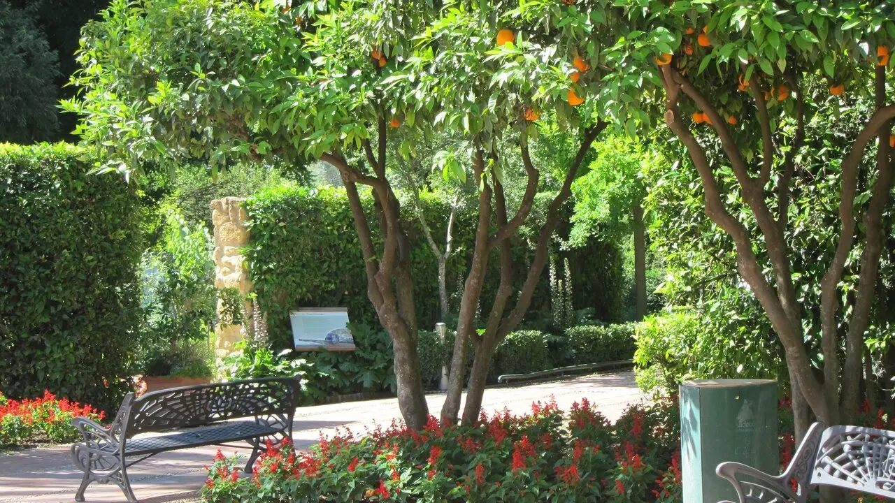 Archivo - Flores, arbustos y &aacute;rboles del Real Jard&iacute;n Bot&aacute;nico.