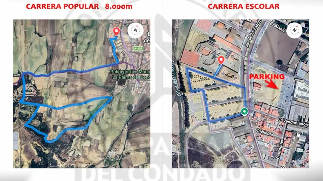 Carrera Popular La Palma del Condado. | Federaci&oacute;n Andaluza de Atletismo.
