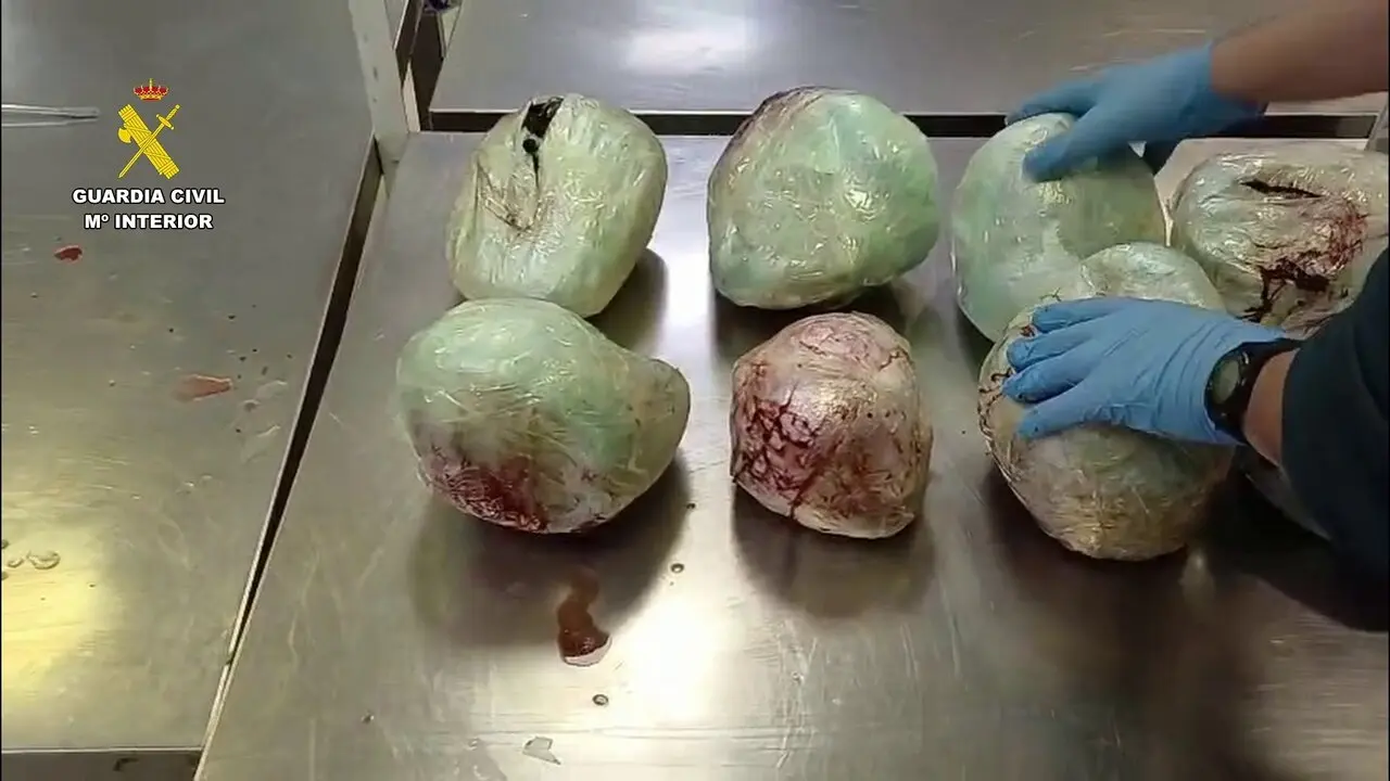Varios ejemplares de pangol&iacute;n muertos encontrados en el aeropuerto. | Europa Press.