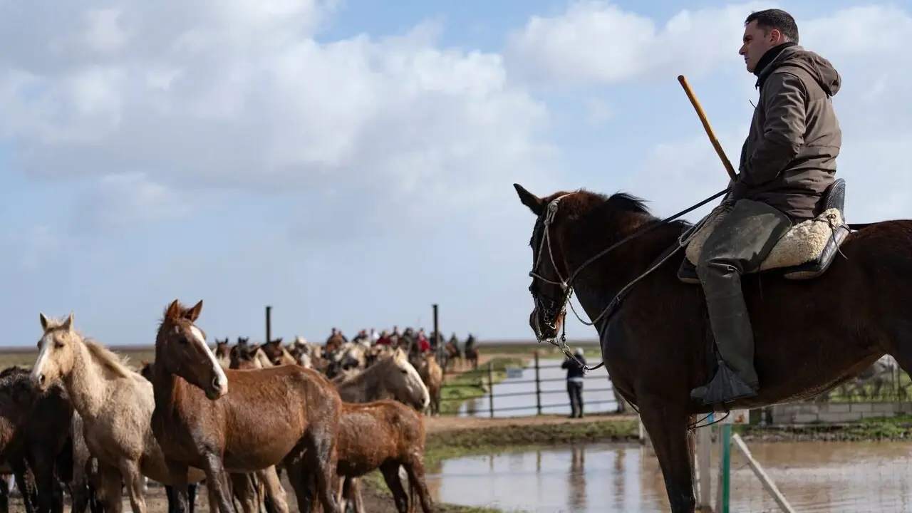 Ganaderos en Do&ntilde;ana. | Ayto. de Almonte.