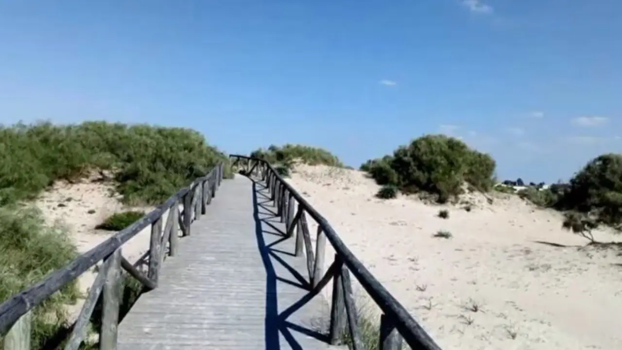 Chipiona recibe por primera vez el galard&oacute;n Sendero Azul para su Corredor Verde Costa Ballena