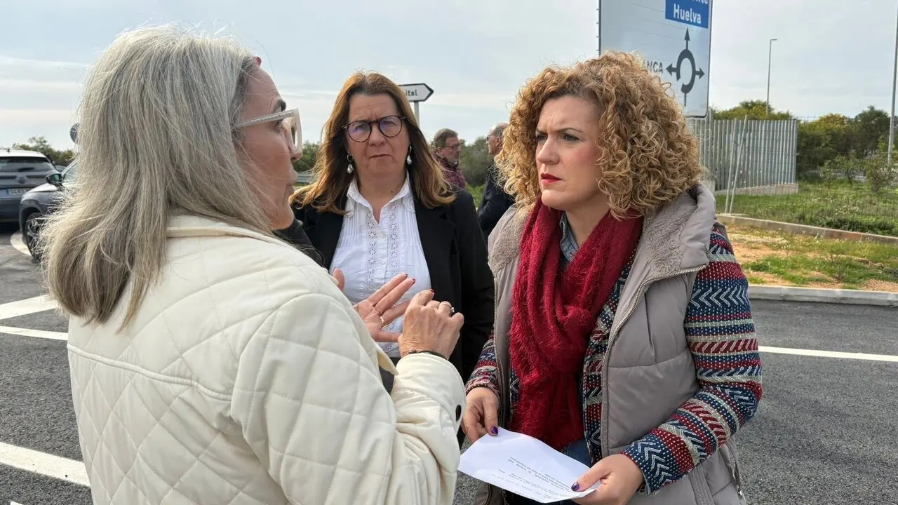 La secretaria general del PSOE de Huelva, Mar&iacute;a Eugenia Lim&oacute;n, este lunes. | PSOE.