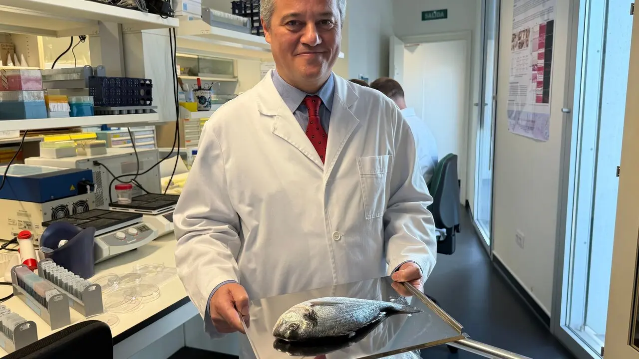 El catedr&aacute;tico de la UGR Miguel Alaminos. | Europa Press.