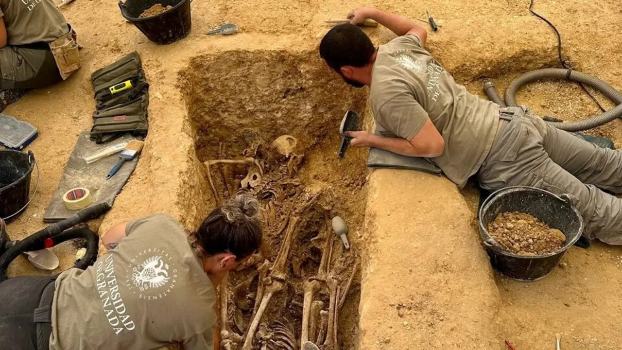 Trabajos en fosas del Cementerio de la Soedad en Huelva | SUBDELEGACI&Oacute;N DEL GOBIERNO EN HUELVA