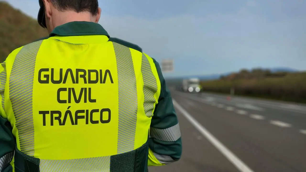 Agente de la Guardia Civil./EP.