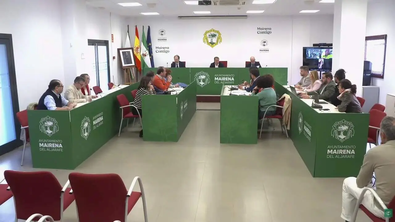 Pleno extraordinario de Mairena del Aljarafe.| AYTO MAIRENA