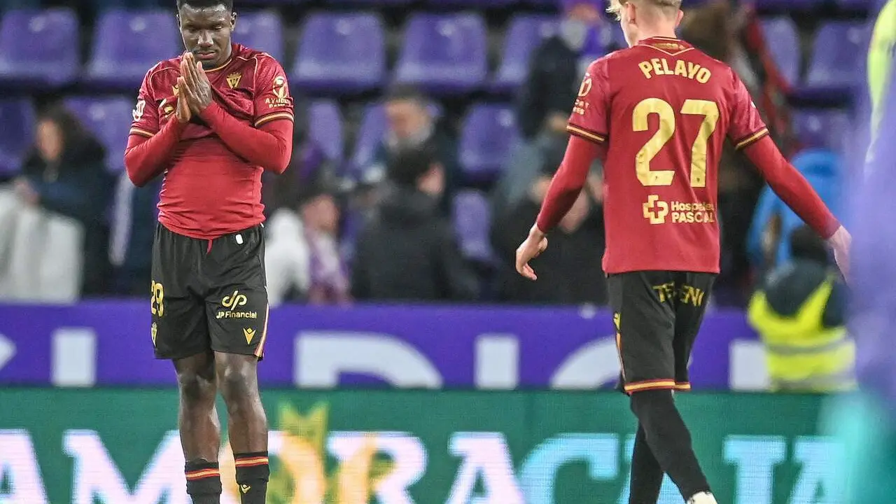 Alfred Caicedo y Pelayo se lamentan tras encajar el C&aacute;diz el tercer tanto frente al Real Valladolid, obra de Chuki. / LaLiga