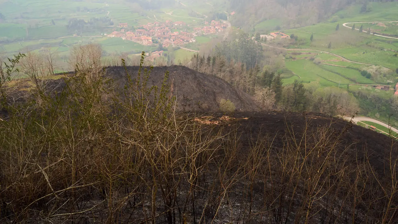 Zonas calcinadas por los incendios en el valle de Cabu&eacute;rniga. | Europa Press.